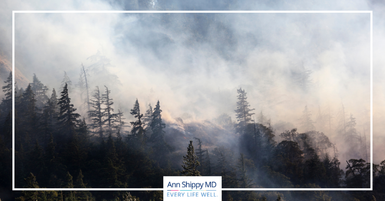 Air Quality Index – Forest Fires and Particulate Matter
