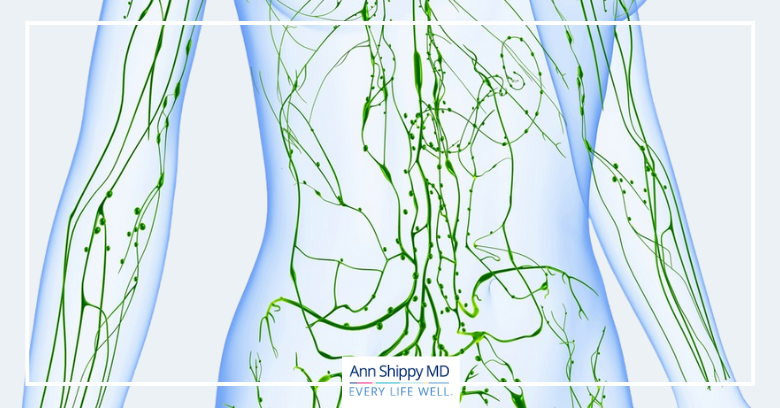 What is the Lymphatic System and 13 Ways to Promote Lymph Flow